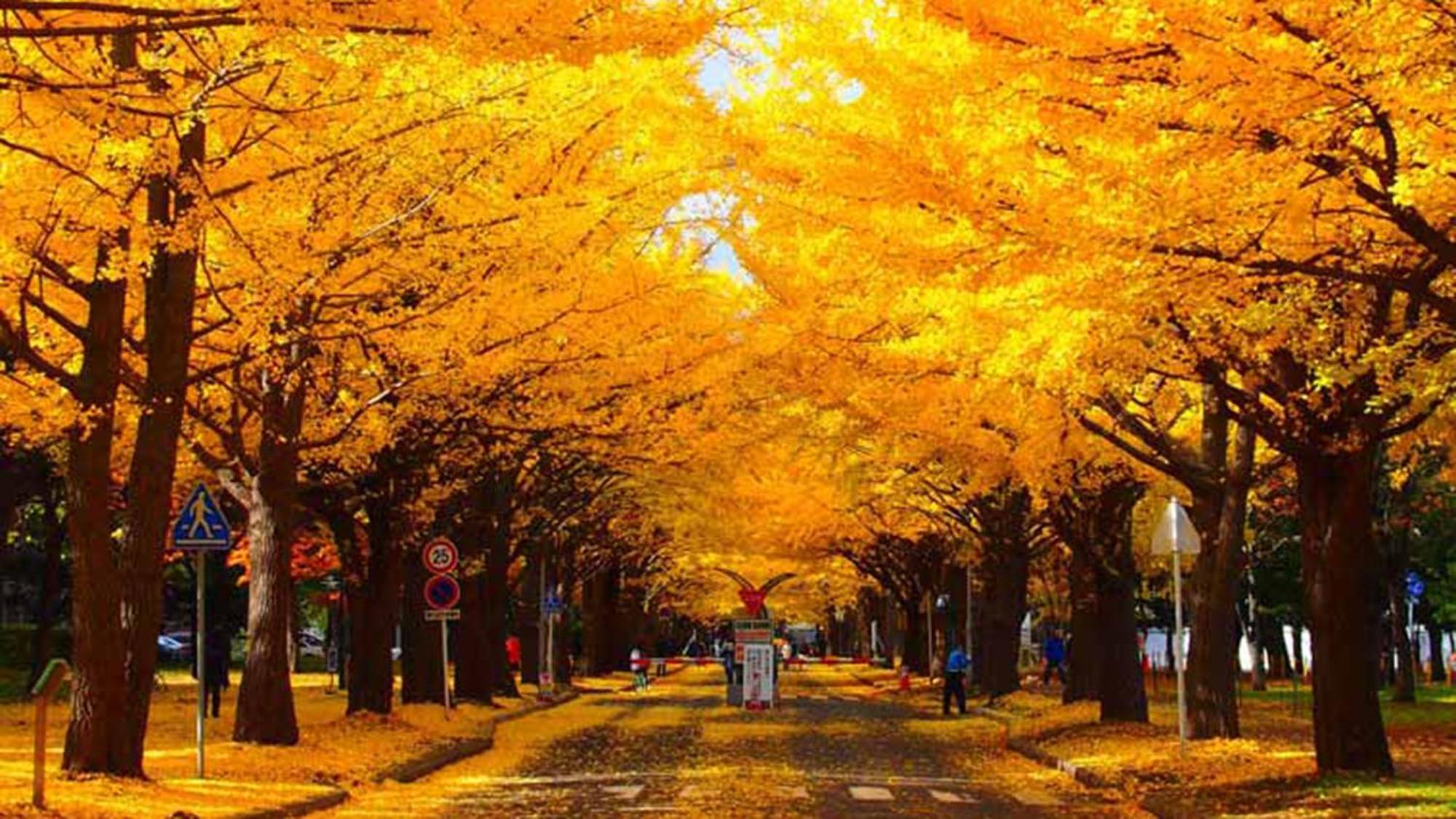 Toyoko Inn Hokkaido Sapporo-Eki Nishi-Guchi Hokudai Mae Luaran gambar